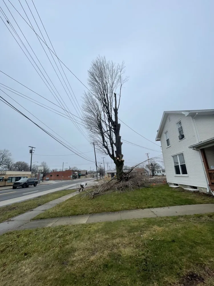 Top-rated residential landscaping for homes across Ashtabula, OH - Ezekiel’s Tree’s & Landscapes