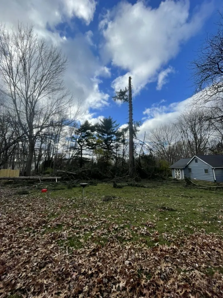 Reliable landscaping services in Ashtabula, OH by Ezekiel’s Tree’s & Landscapes