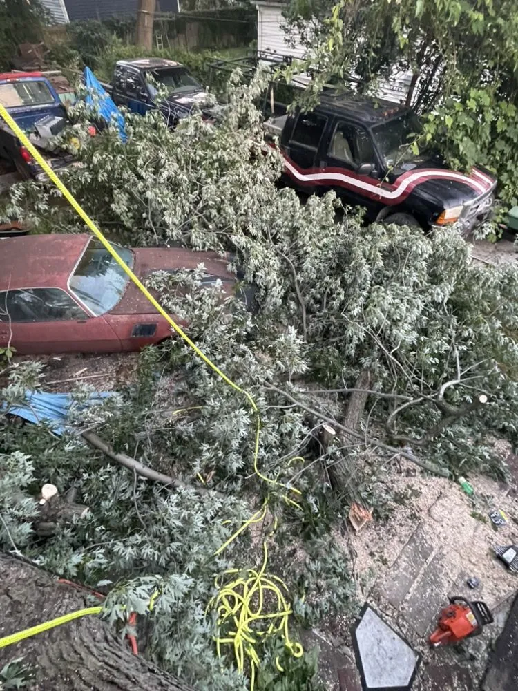 Custom yard cleanup service experts serving Ashtabula, OH - Ezekiel’s Tree’s & Landscapes