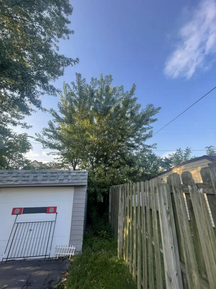 Affordable yard cleanup service in Ashtabula, OH by Ezekiel’s Tree’s & Landscapes