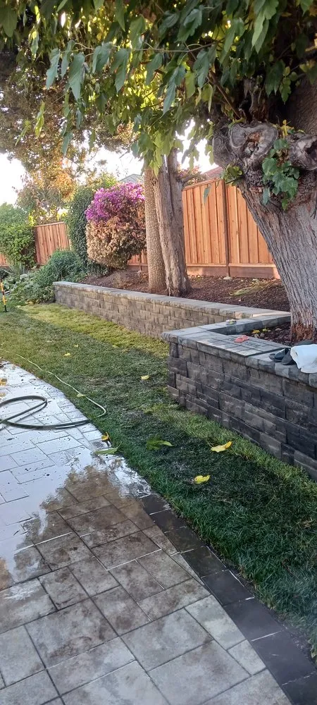 Top-rated lawn mowing service in Campbell, CA - Ezequiels Landscape