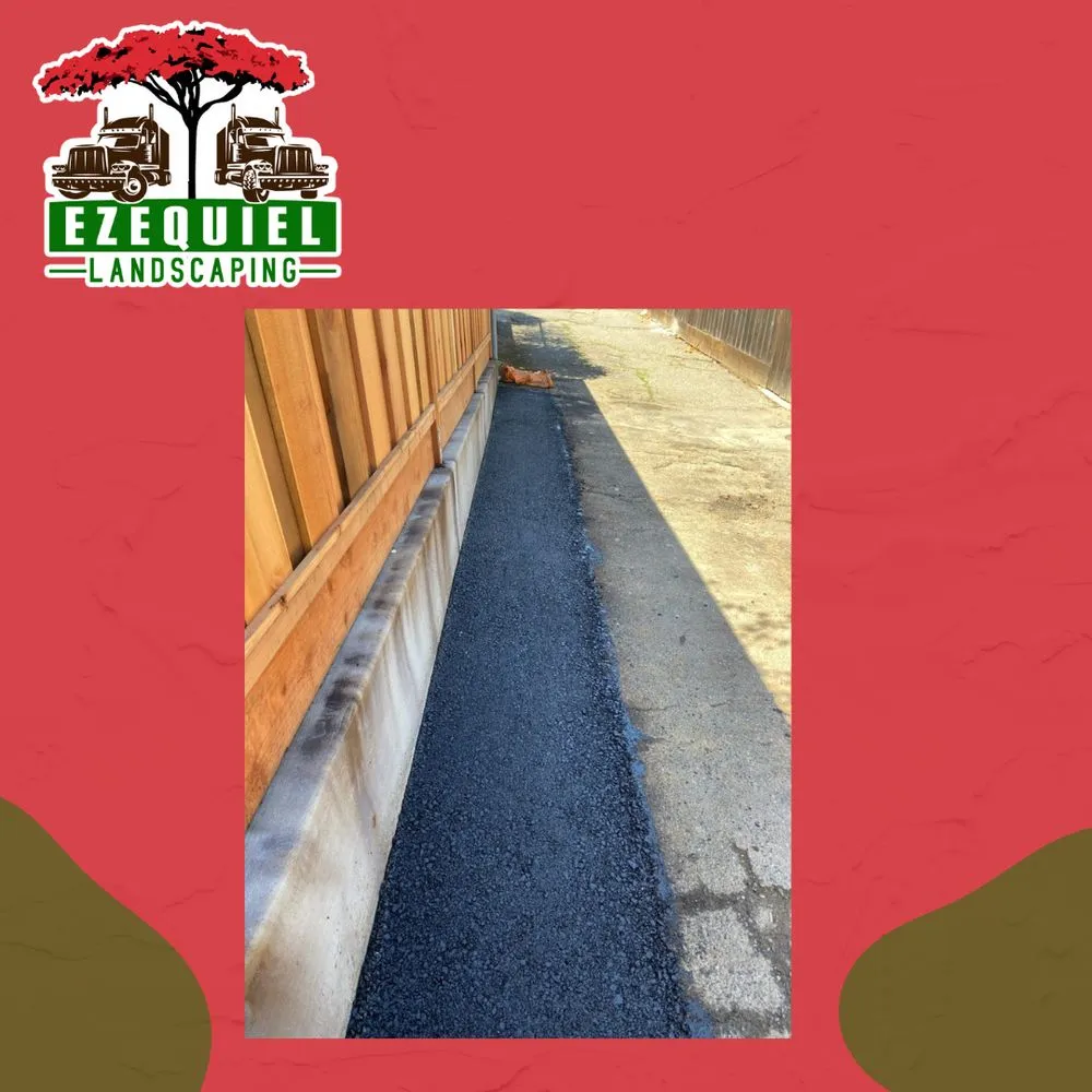 Top-rated yard cleanup service for year-round maintenance across Vallejo, CA - Ezequiel's Landscaping