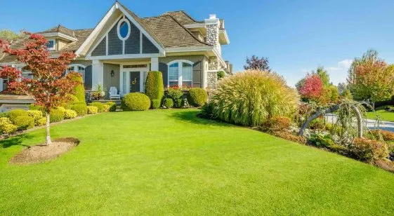 Expert yard cleanup service for year-round maintenance in Vallejo, CA by Ezequiel's Landscaping