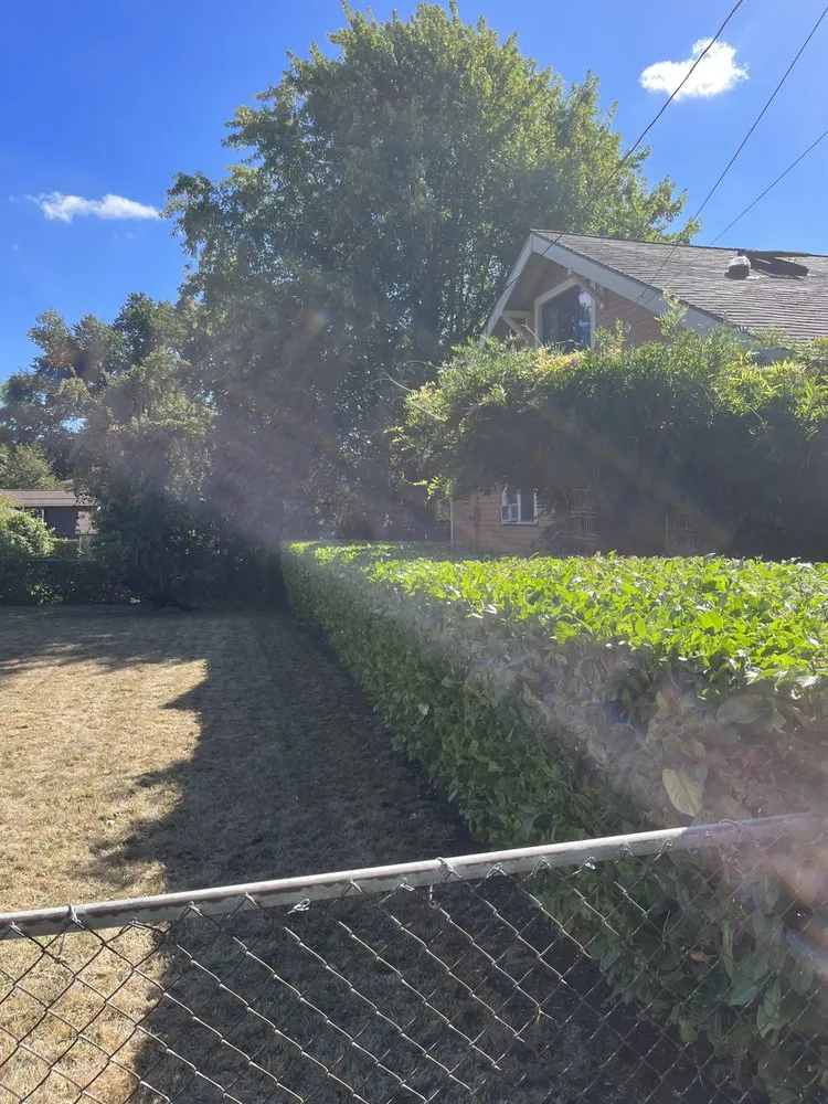 Expert landscaping services for residential properties in Hillsboro, OR by Ezer Services