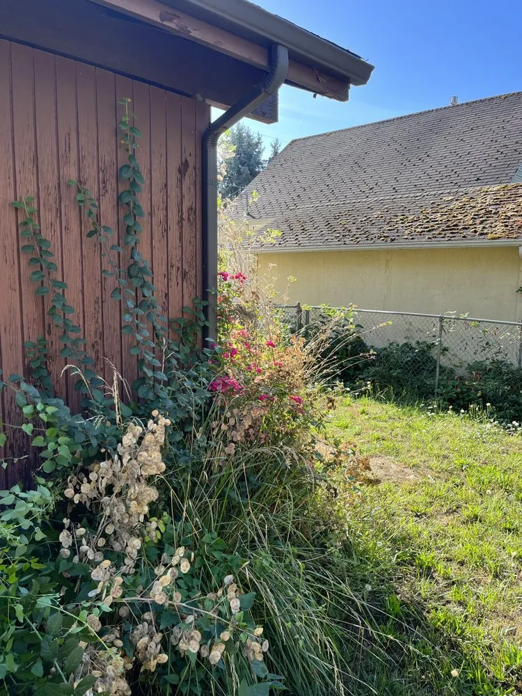 Local garden landscaping in Hillsboro, OR by Ezer Services