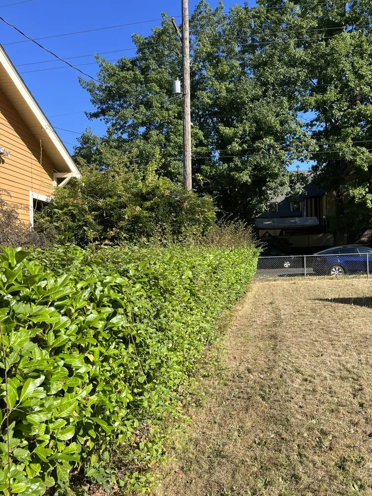 Local landscape installation experts serving Hillsboro, OR - Ezer Services