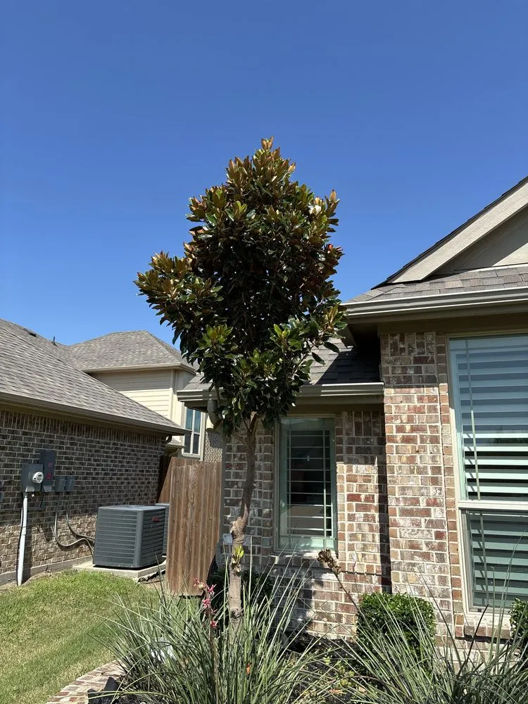 Expert garden landscaping experts serving Dallas, TX - Ezpz Lawn Care