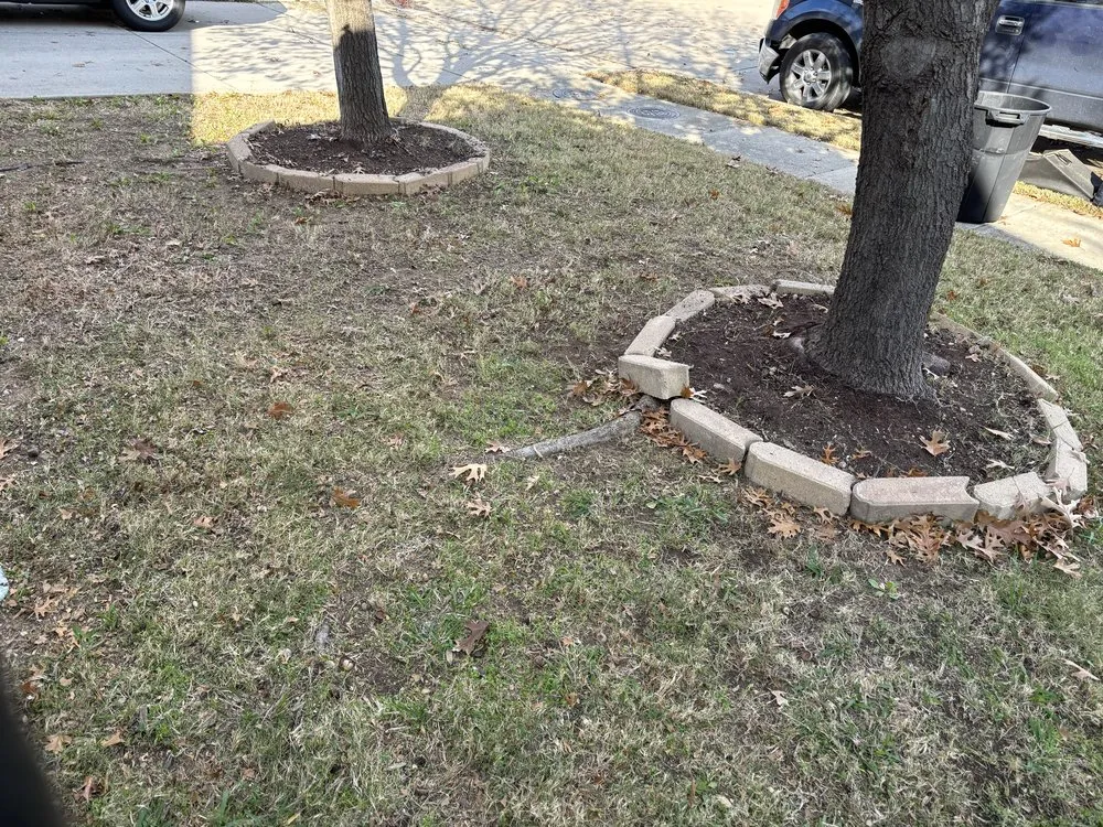 Top-rated landscaping services in Dallas, TX - Ezpz Lawn Care