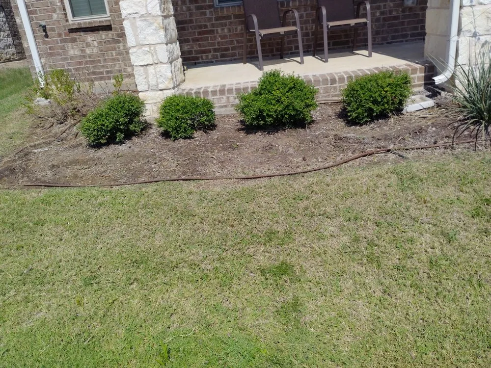 Top-rated yard cleanup service in Dallas, TX - Ezpz Lawn Care