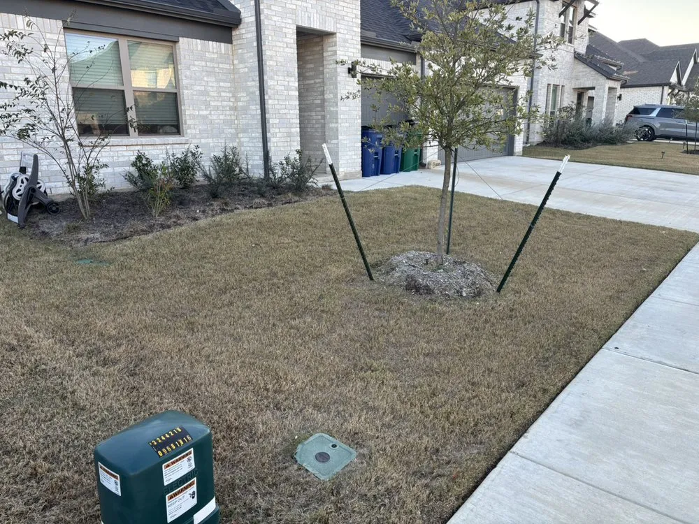 Reliable lawn mowing service in Dallas, TX by Ezpz Lawn Care