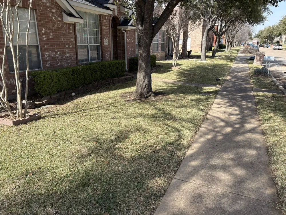 Professional yard cleanup service near you across Dallas, TX - Ezpz Lawn Care