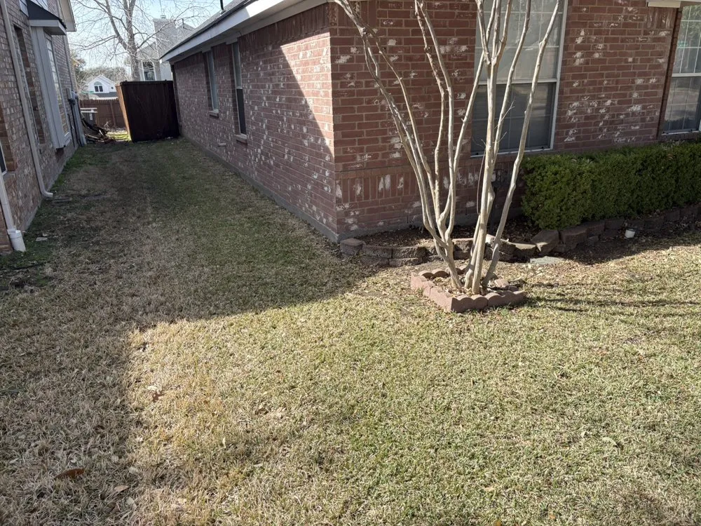 Custom yard maintenance experts serving Dallas, TX - Ezpz Lawn Care