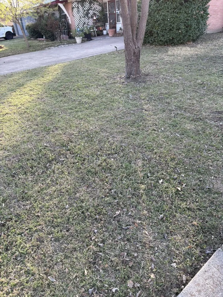 Professional lawn care service in Dallas, TX by Ezpz Lawn Care
