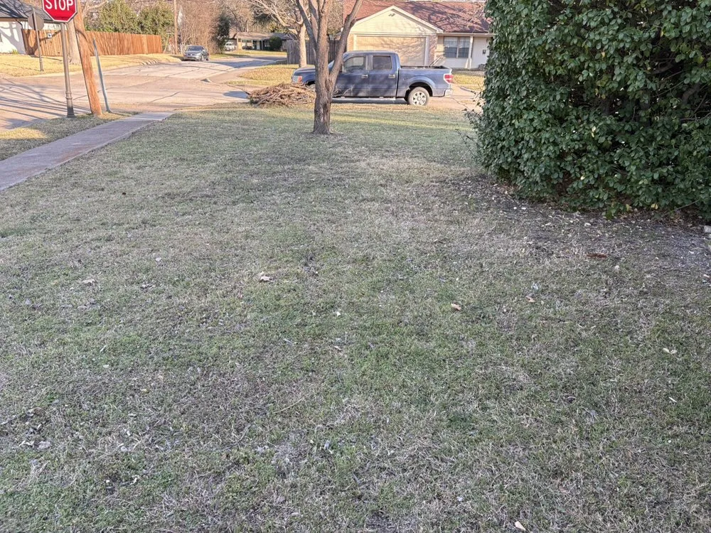 Custom landscape installation near you in Dallas, TX by Ezpz Lawn Care