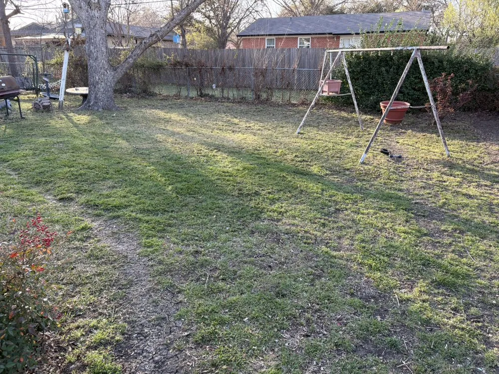 Affordable outdoor landscaping in Dallas, TX - Ezpz Lawn Care
