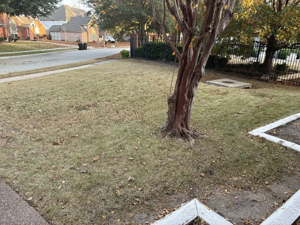 Expert lawn care service for beautiful yards across Dallas, TX - Ezpz Lawn Care