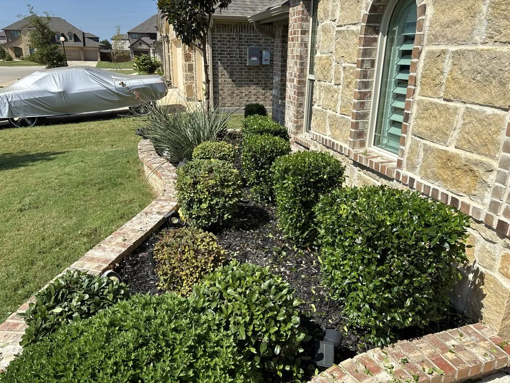 Affordable garden landscaping experts serving Dallas, TX - Ezpz Lawn Care
