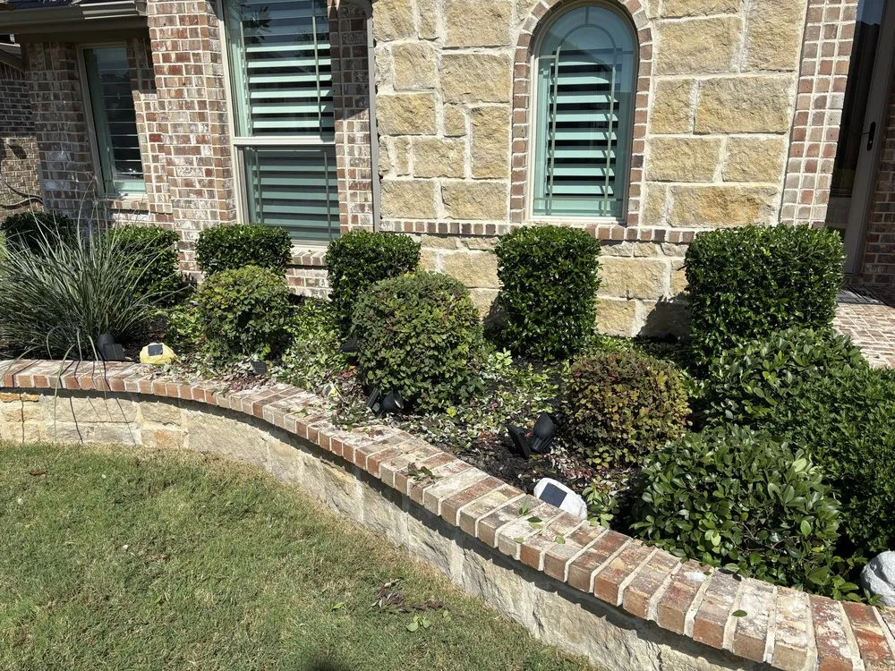 Reliable yard cleanup service experts serving Dallas, TX - Ezpz Lawn Care
