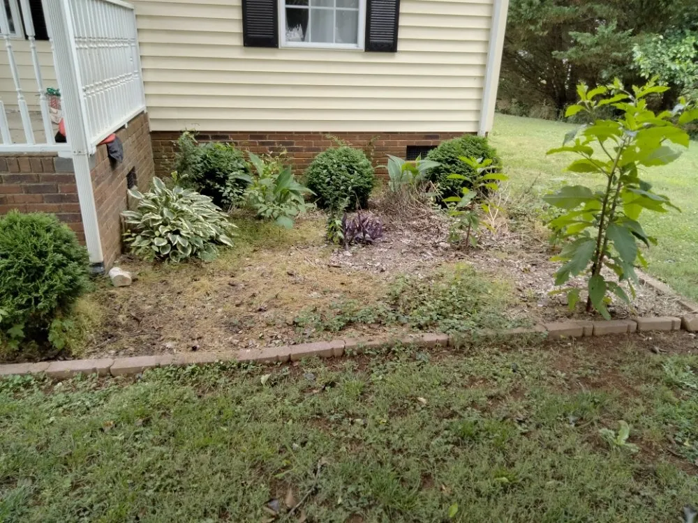 Top-rated landscape design in York, SC by Ezra's Home & Lawn Service's