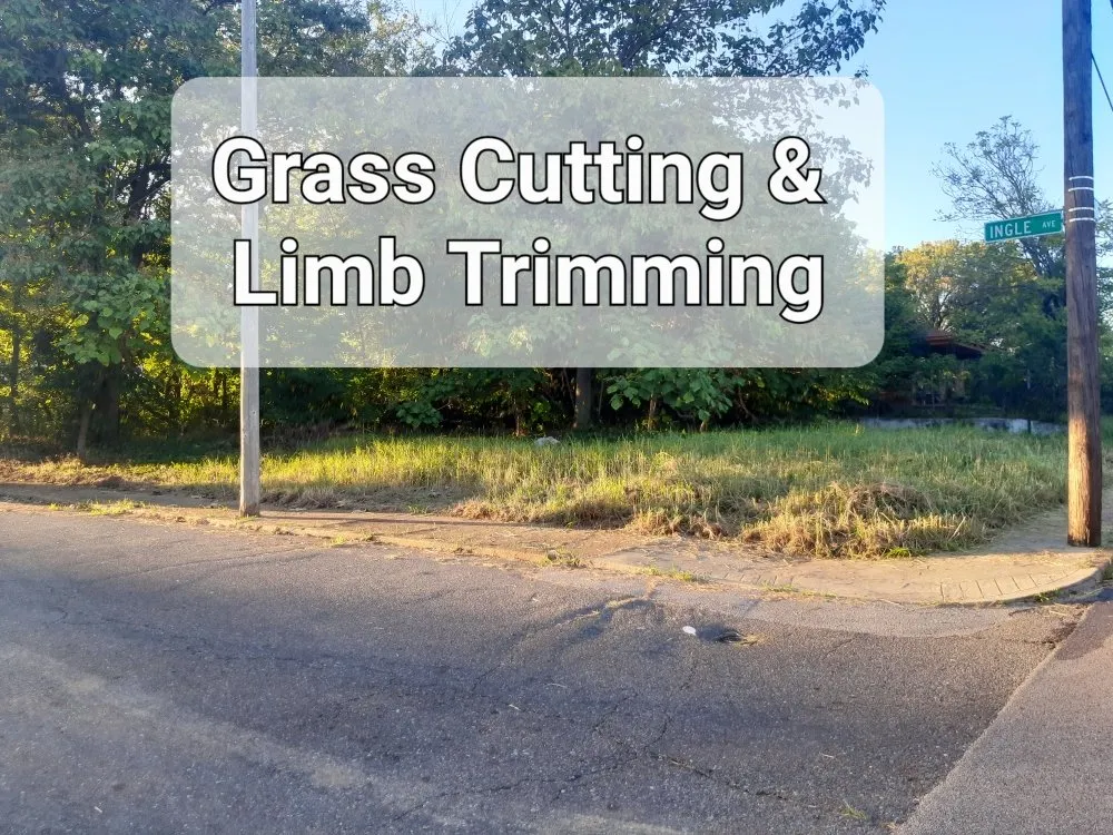 Custom landscape installation experts serving Memphis, TN - EZ's Odd Jobs Handyman Service