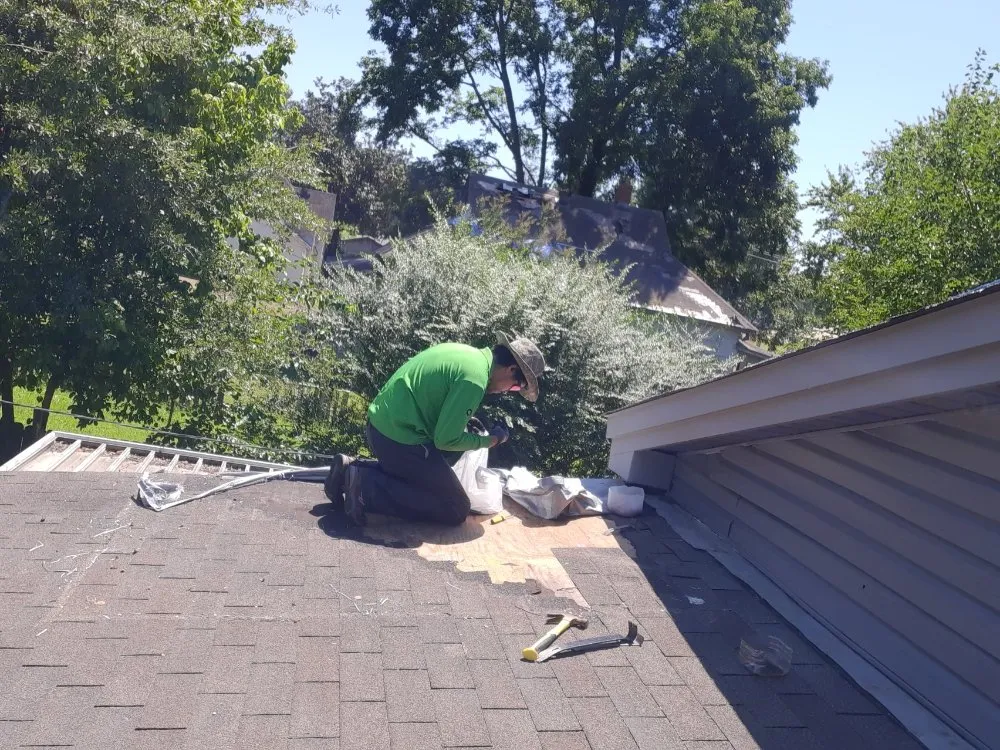 Affordable lawn care service experts serving Memphis, TN - EZ's Odd Jobs Handyman Service