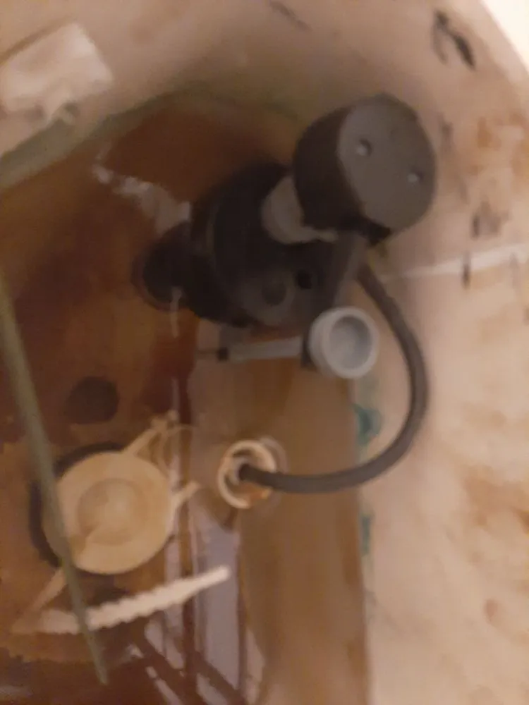 Custom garden landscaping in Memphis, TN - EZ's Odd Jobs Handyman Service