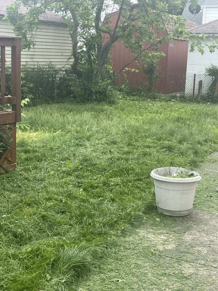 Affordable lawn mowing service for homes in Euclid, OH by EZWURK