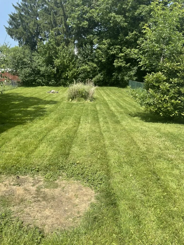 Reliable landscape installation in Euclid, OH by EZWURK