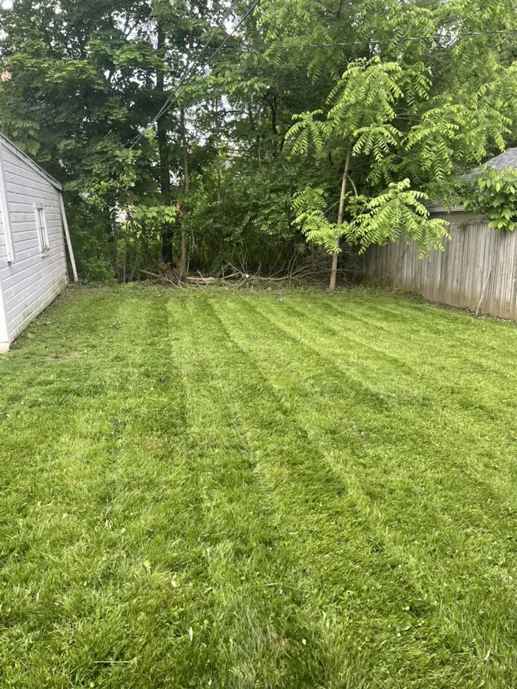 Local outdoor landscaping for beautiful yards across Euclid, OH - EZWURK