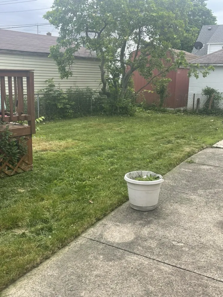 Custom landscaping services in Euclid, OH by EZWURK