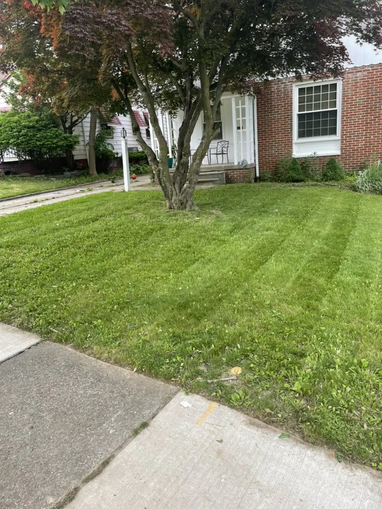 Custom yard maintenance for residential properties in Euclid, OH by EZWURK