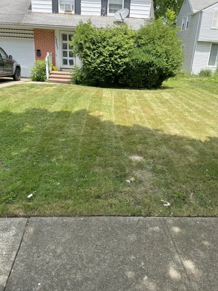 Professional landscaping services in Euclid, OH by EZWURK