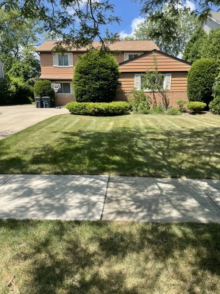 Professional yard cleanup service for year-round maintenance across Euclid, OH - EZWURK