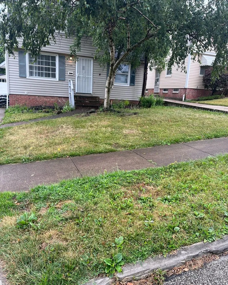 Trusted lawn mowing service with custom design across Euclid, OH - EZWURK