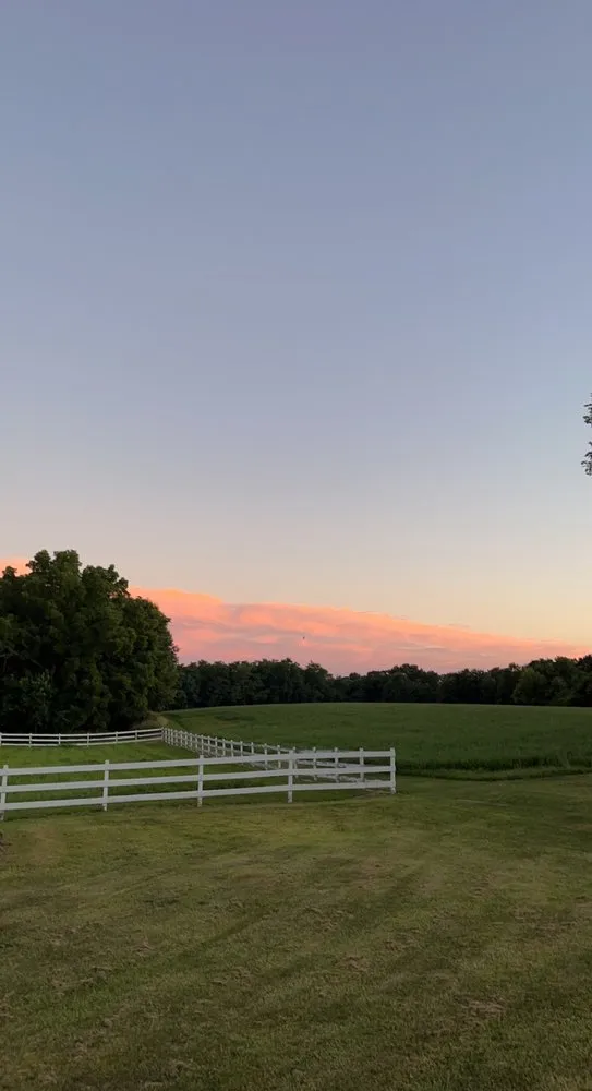 Custom yard maintenance in Hanna City, IL by Ezz Lawn Care