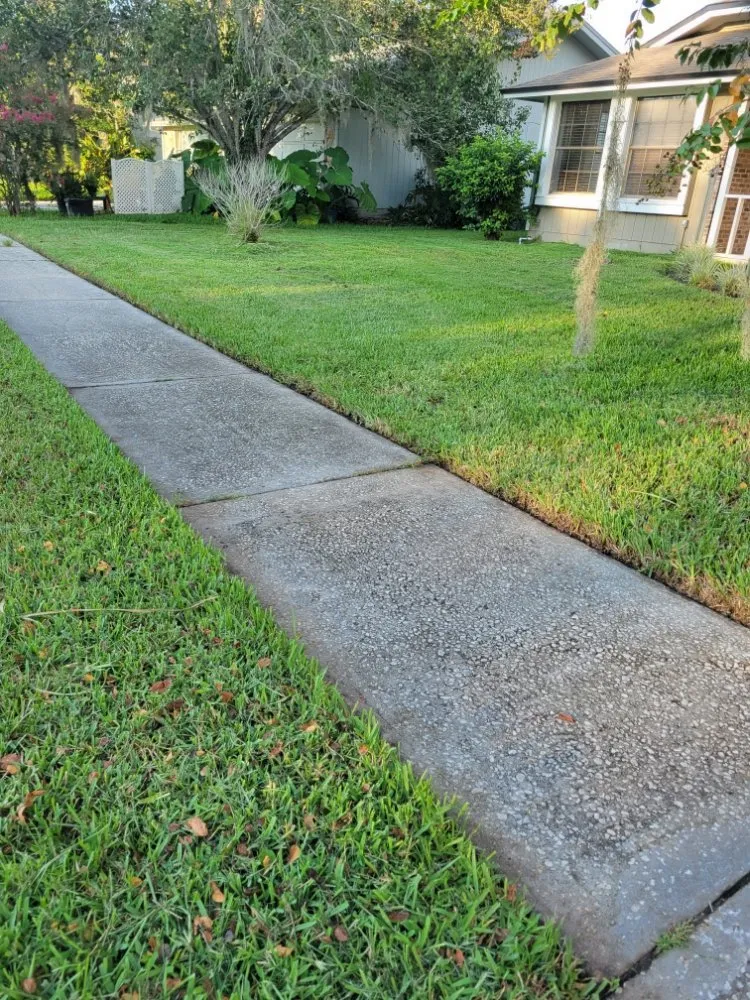 Trusted yard cleanup service in Jacksonville, FL - Ezzy Does It Lawn Care Services