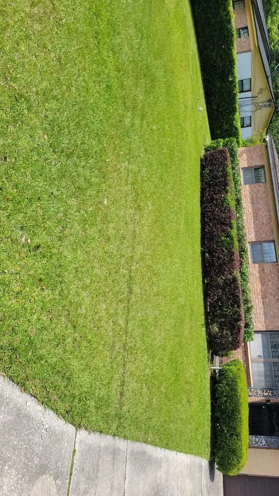 Custom lawn mowing service for residential properties in Jacksonville, FL by Ezzy Does It Lawn Care Services