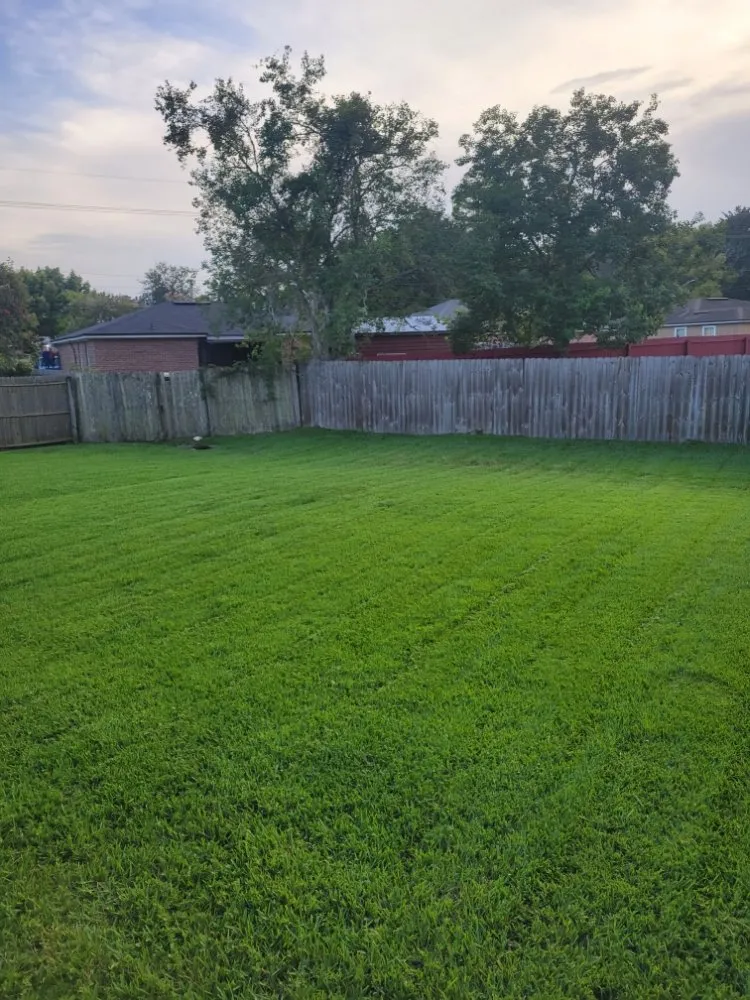 Reliable landscape installation in Jacksonville, FL - Ezzy Does It Lawn Care Services