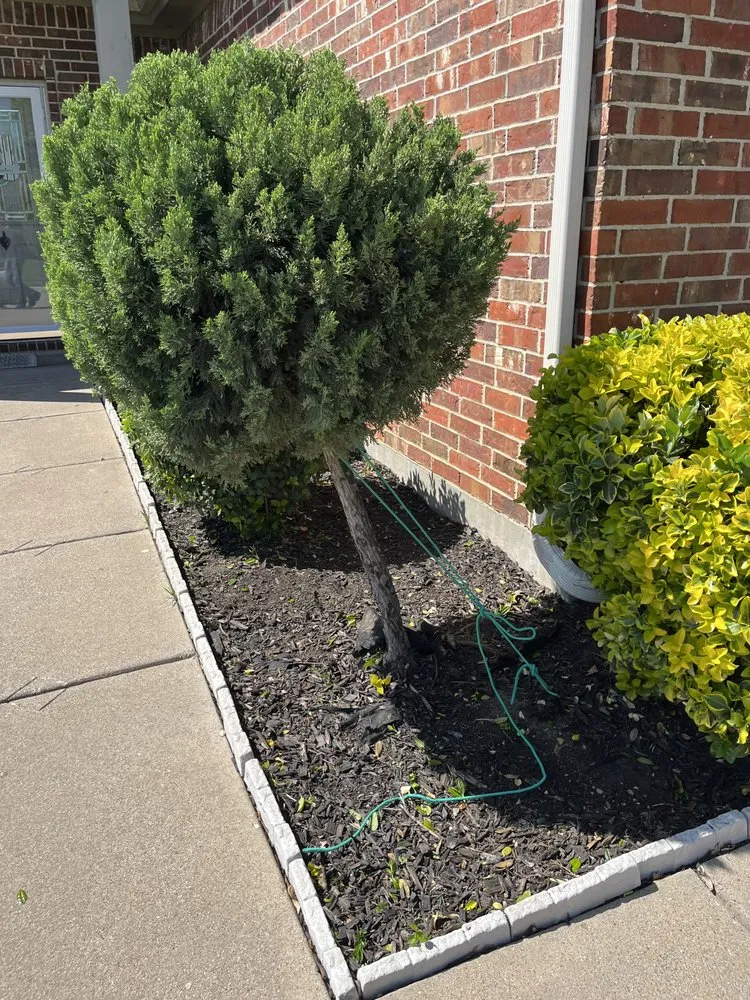 Expert landscape installation in Fort Worth, TX by F & A Lawn Care