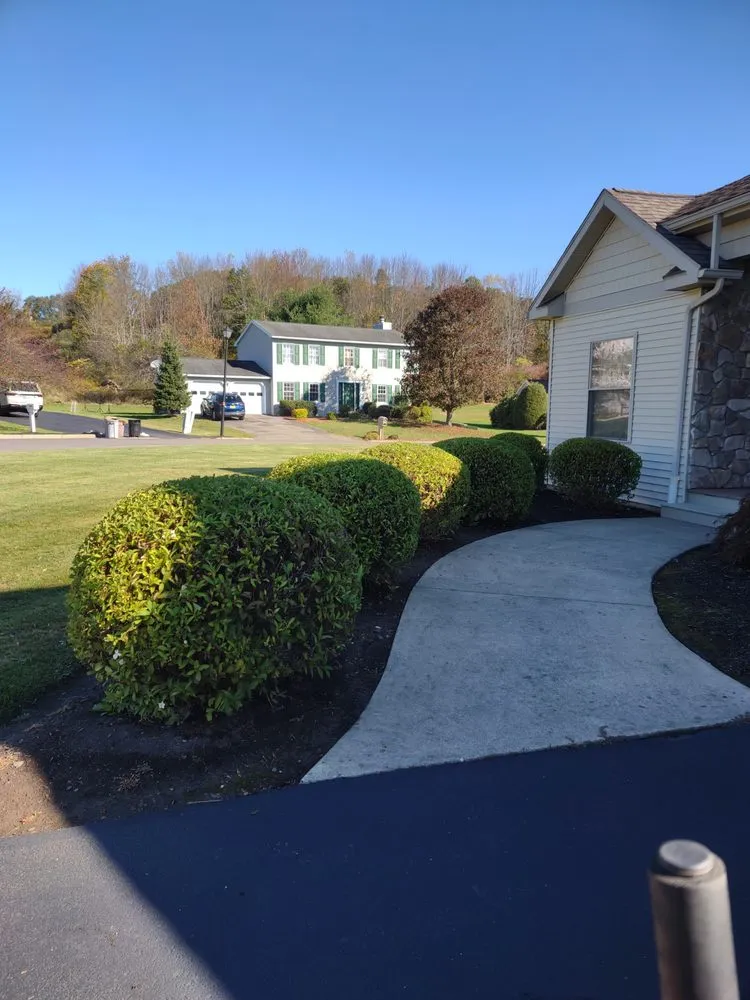 Top-rated yard cleanup service experts serving Binghamton, NY - F & B Lawn Care and Snow Removal