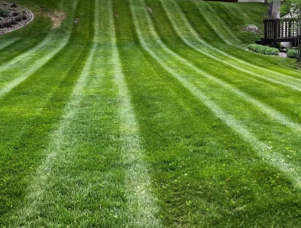 Trusted yard maintenance experts serving Locust, NC - F & B Outdoor Solutions