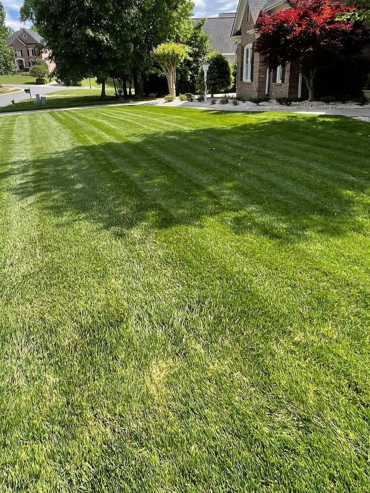 Affordable landscaping services in Locust, NC by F & B Outdoor Solutions