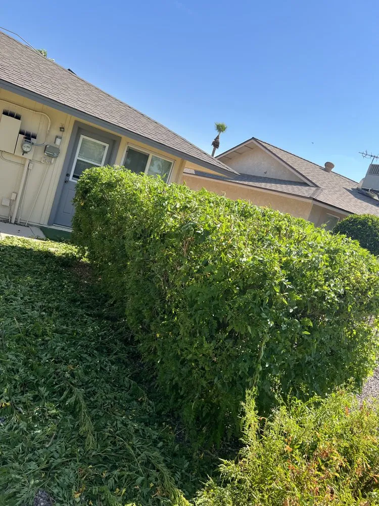 Top-rated lawn care service in Wittmann, AZ by F & F Contracting