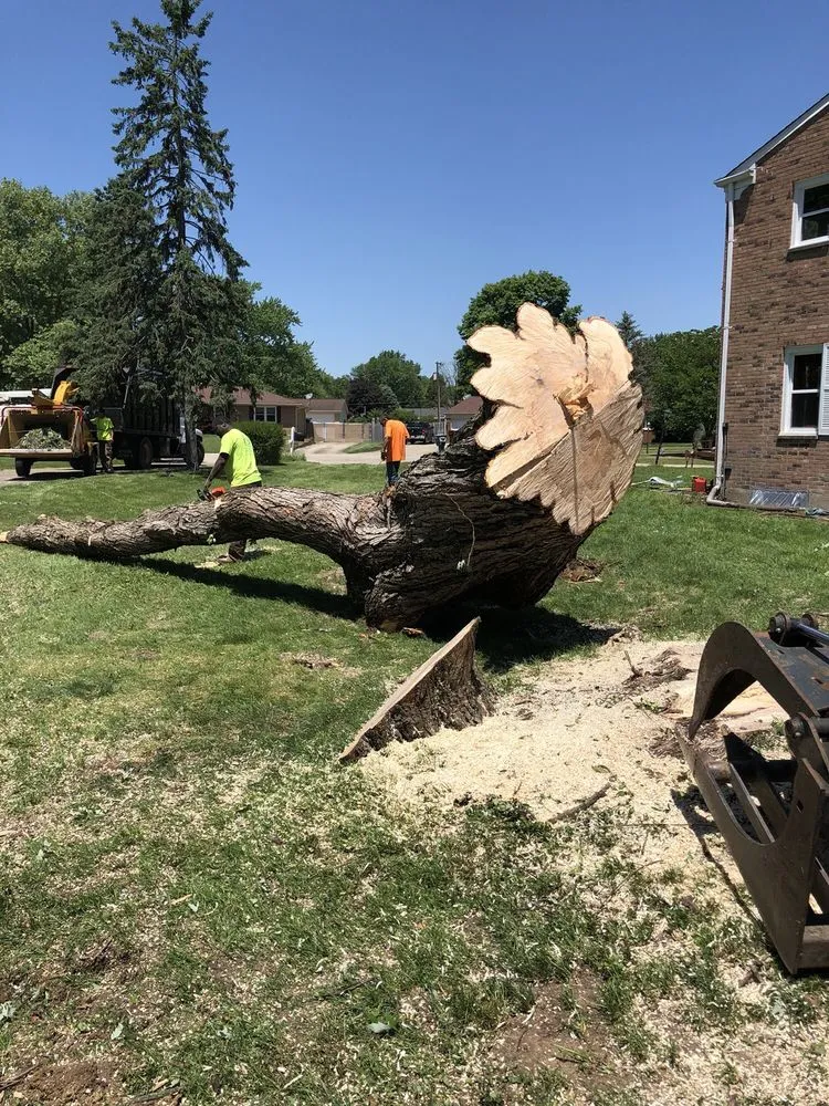 Local landscaping services for residential properties in Beavercreek, OH by F & F Tree Service