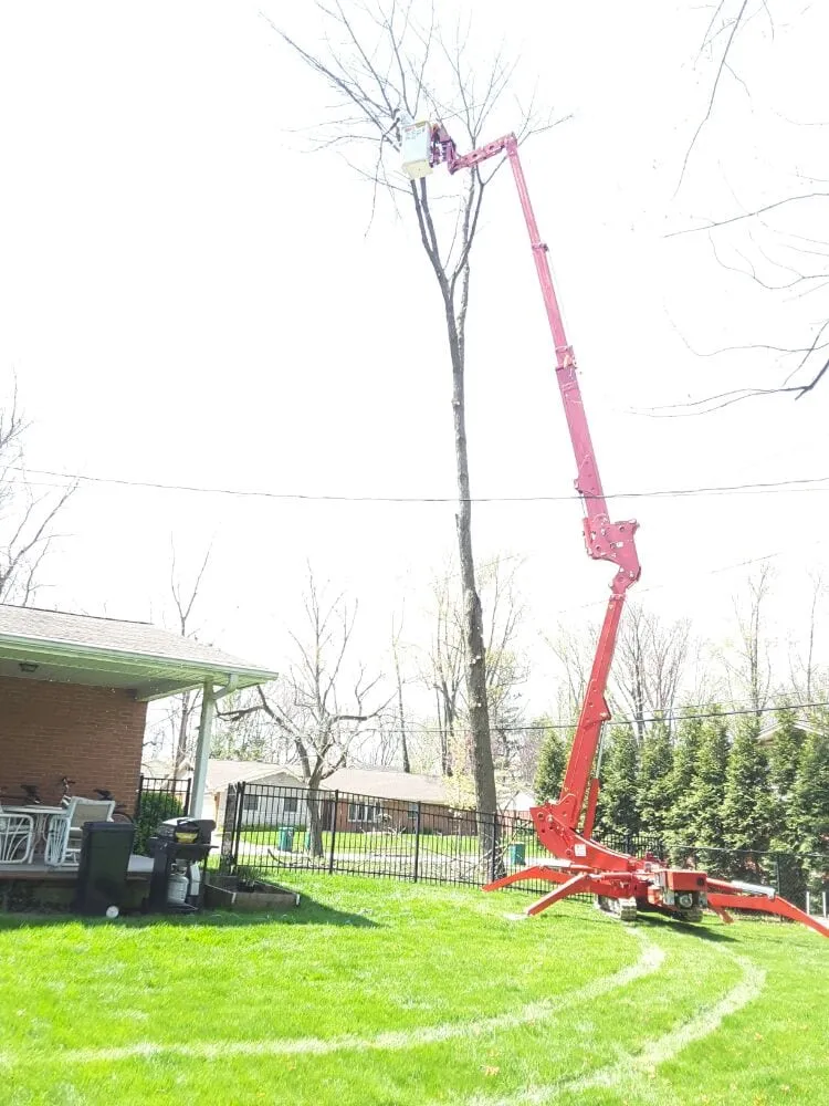 Custom landscape installation with custom design across Beavercreek, OH - F & F Tree Service