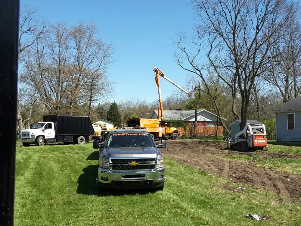 Professional yard cleanup service in Beavercreek, OH - F & F Tree Service
