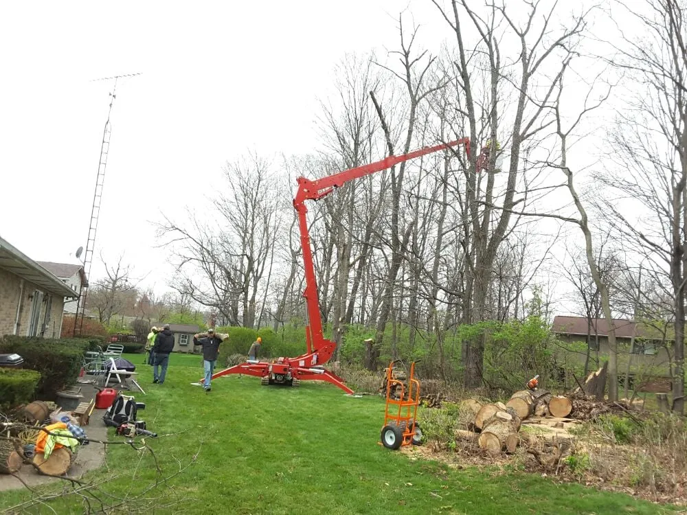 Expert lawn mowing service for homes across Beavercreek, OH - F & F Tree Service