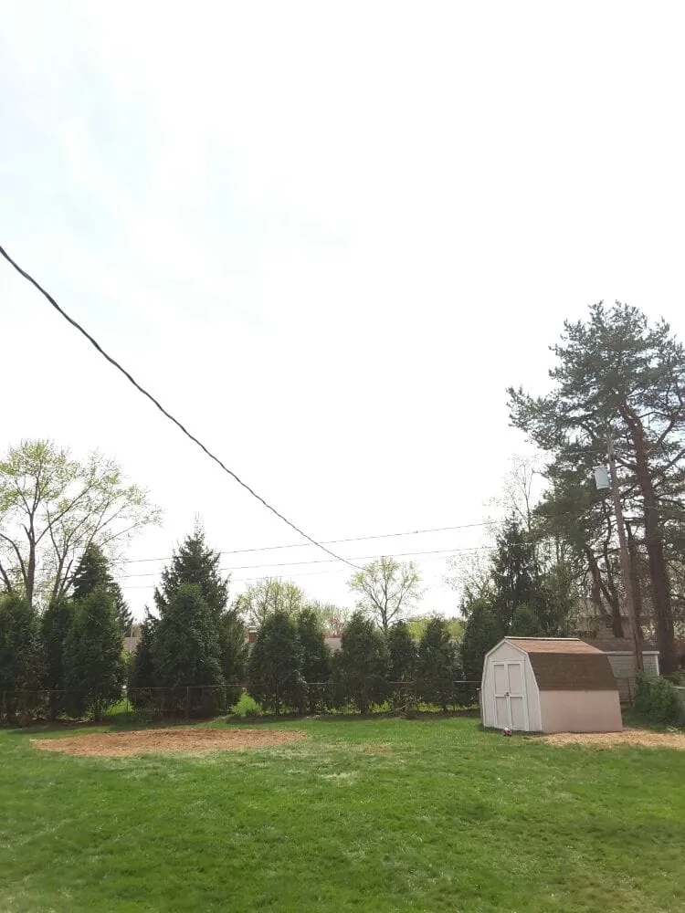 Professional lawn care service experts serving Beavercreek, OH - F & F Tree Service