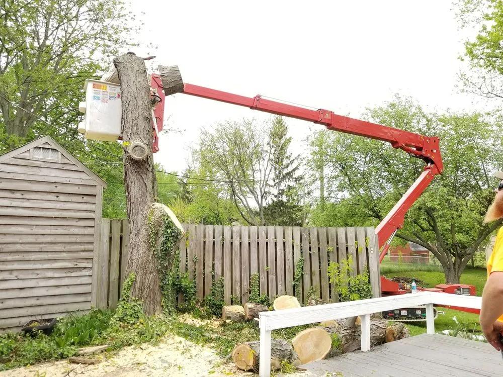 Affordable landscape design in Beavercreek, OH by F & F Tree Service