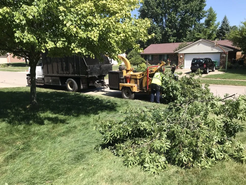 Local landscape installation for beautiful yards across Beavercreek, OH - F & F Tree Service